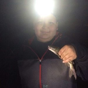 Meet your Posher, Adam